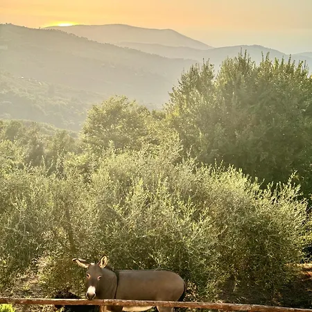 Mancini - Cilento & Sunset Dom wakacyjny